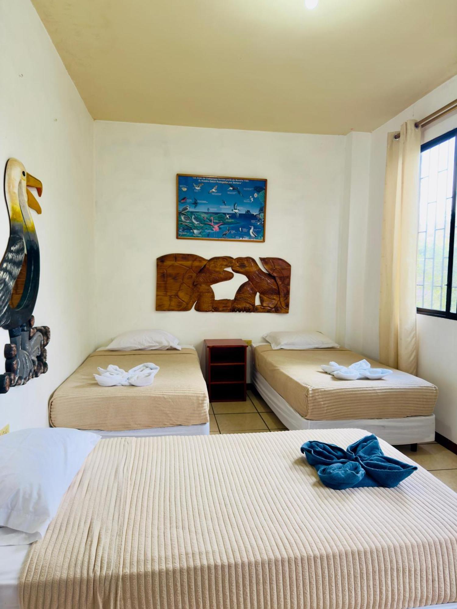 Tintorera Apartamento Puerto Ayora (Galapagos Islands)