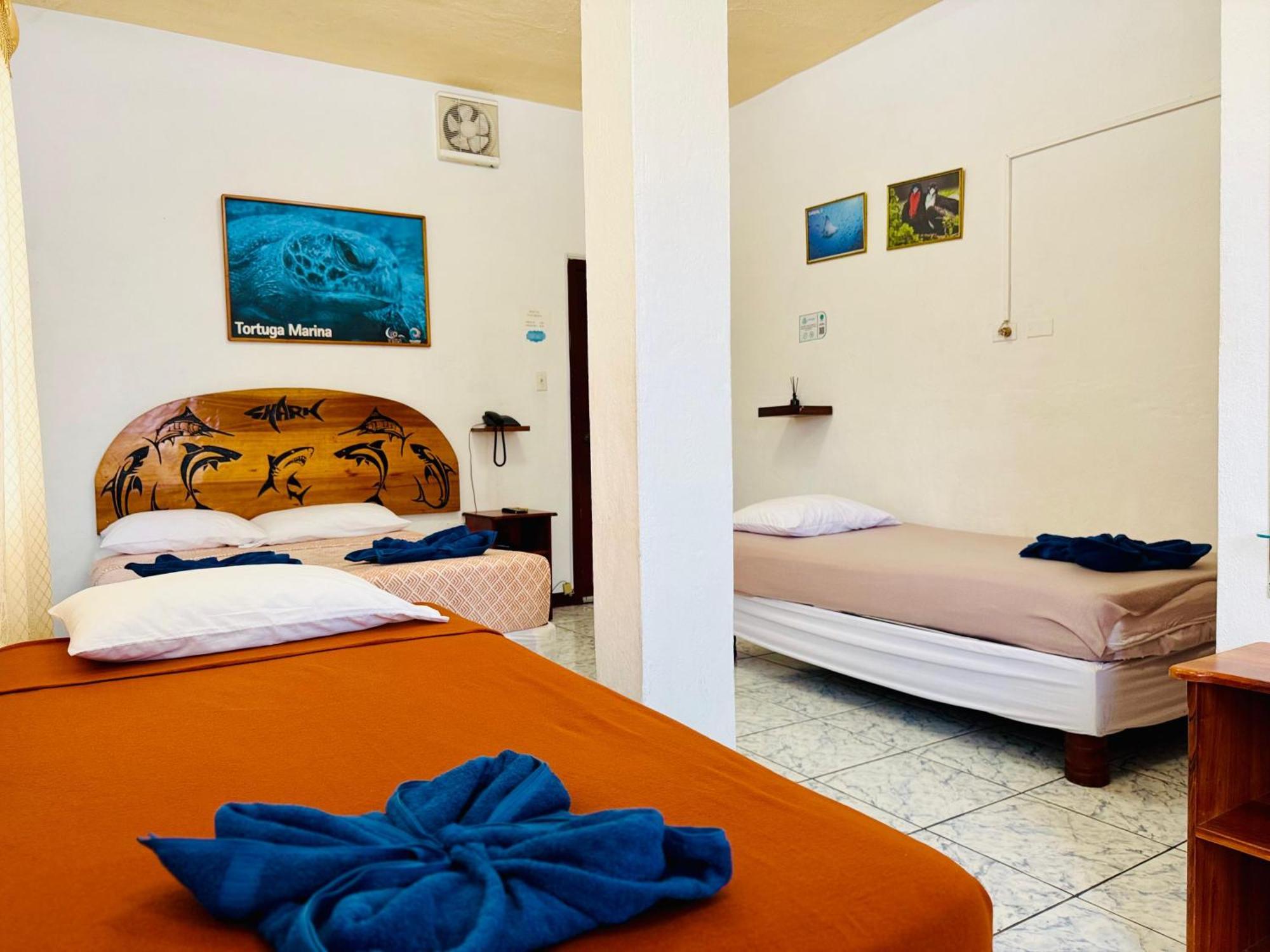 Tintorera Apartamento