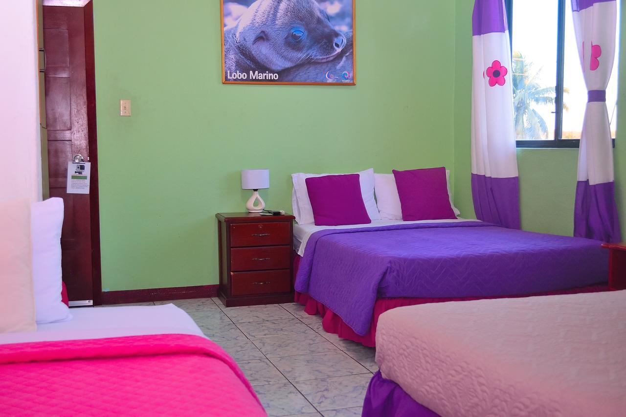 Apartamento Tintorera *