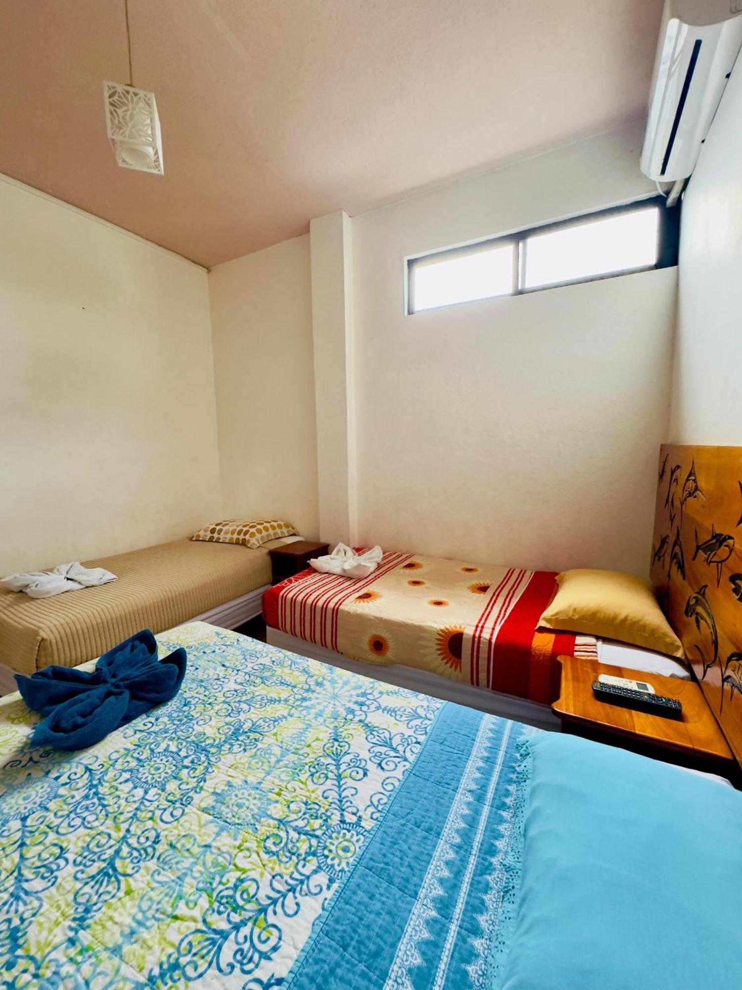 Apartment Tintorera *